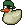 Green Pirate Duck